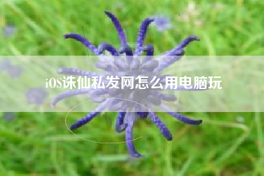 iOS诛仙私发网怎么用电脑玩