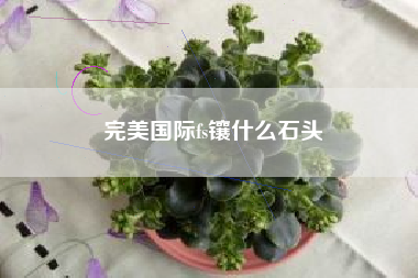 完美国际fs镶什么石头