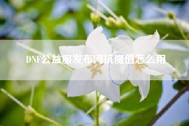 DNF公益服发布网抗魔值怎么用