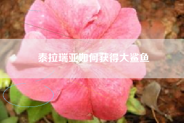 泰拉瑞亚如何获得大鲨鱼