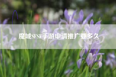 魔域SFSF手游申请推广要多久