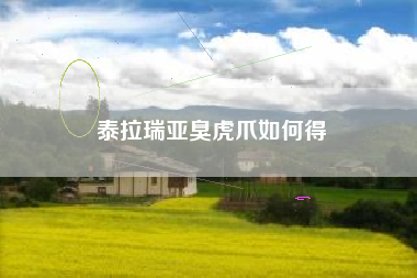 泰拉瑞亚臭虎爪如何得
