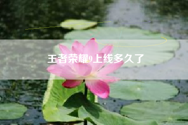 王者荣耀9上线多久了