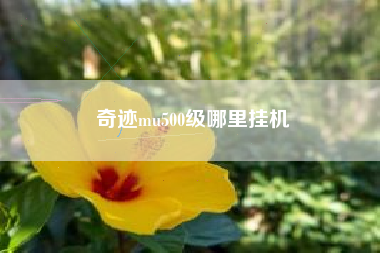 奇迹mu500级哪里挂机