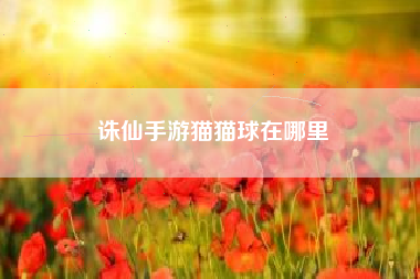 诛仙手游猫猫球在哪里