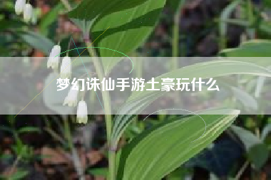 梦幻诛仙手游土豪玩什么