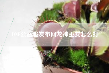 DNF公益服发布网龙神巫女怎么打