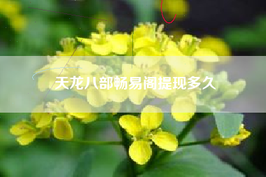 天龙八部畅易阁提现多久