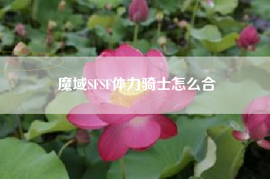魔域SFSF体力骑士怎么合