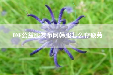 DNF公益服发布网韩服怎么存疲劳