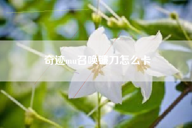 奇迹mu召唤镰刀怎么卡