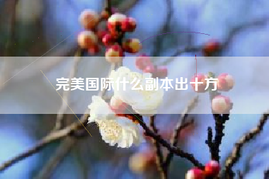 完美国际什么副本出十方
