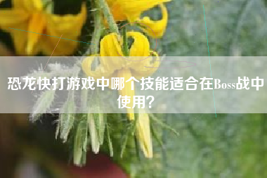 恐龙快打游戏中哪个技能适合在Boss战中使用？