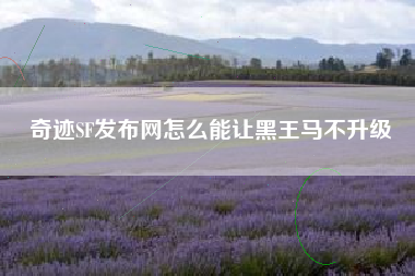 奇迹SF发布网怎么能让黑王马不升级