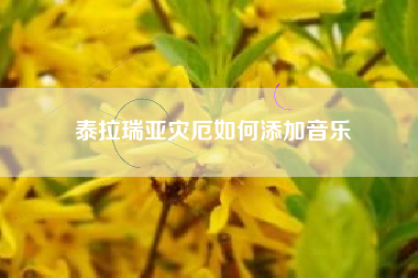 泰拉瑞亚灾厄如何添加音乐