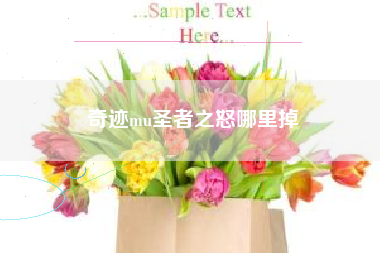 奇迹mu圣者之怒哪里掉