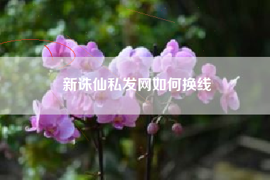 新诛仙私发网如何换线