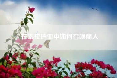 在泰拉瑞亚中如何召唤商人