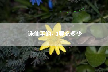 诛仙手游v13要充多少