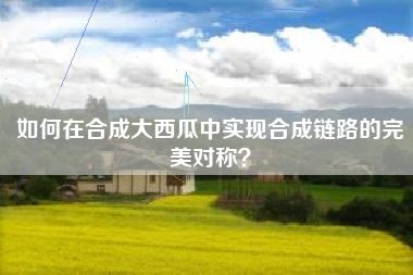 如何在合成大西瓜中实现合成链路的完美对称？