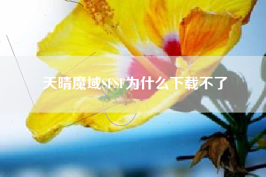 天晴魔域SFSF为什么下载不了