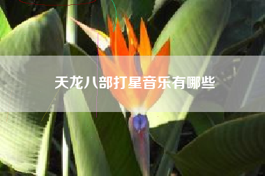 天龙八部打星音乐有哪些