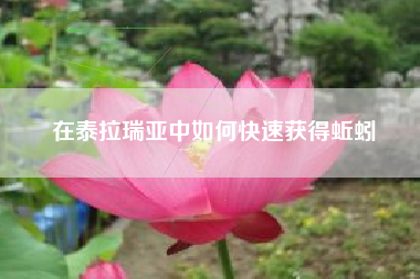 在泰拉瑞亚中如何快速获得蚯蚓