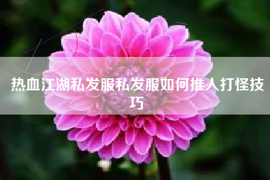 热血江湖私发服私发服如何推人打怪技巧