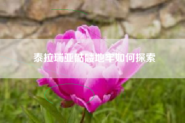 泰拉瑞亚骷髅地牢如何探索