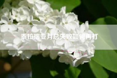 泰拉瑞亚月总失败如何再打