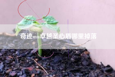 奇迹mu卓越圣心盾哪里掉落