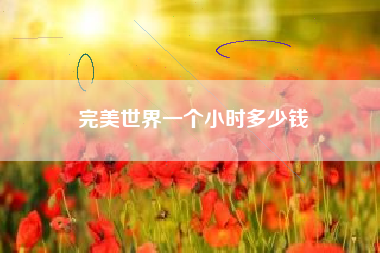 完美世界一个小时多少钱