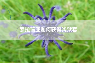 泰拉瑞亚如何获得炎狱套