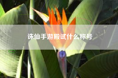 诛仙手游殿试什么称号