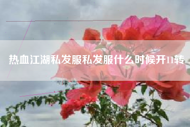 热血江湖私发服私发服什么时候开11转
