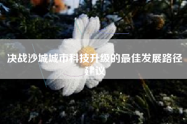 决战沙城城市科技升级的最佳发展路径建议