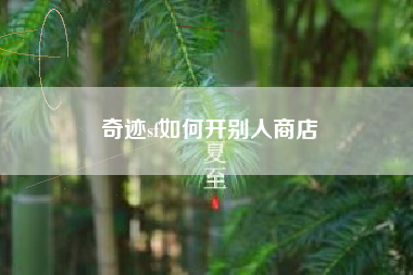 奇迹sf如何开别人商店