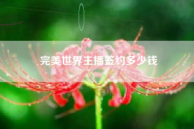 完美世界主播签约多少钱