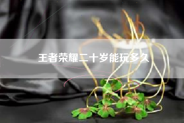 王者荣耀二十岁能玩多久