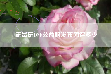 流量玩DNF公益服发布网得多少