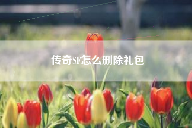 传奇SF怎么删除礼包