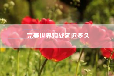 完美世界观战延迟多久