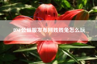 DNF公益服发布网贱贱兔怎么玩