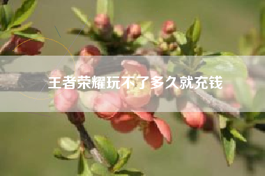 王者荣耀玩不了多久就充钱