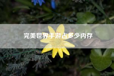 完美世界手游占多少内存
