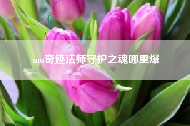 mu奇迹法师守护之魂哪里爆
