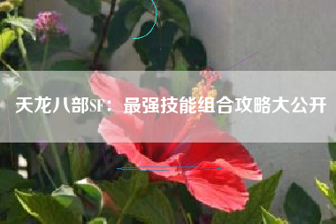 天龙八部SF：最强技能组合攻略大公开