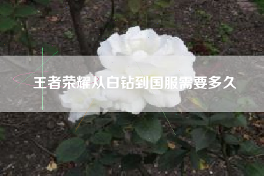 王者荣耀从白钻到国服需要多久