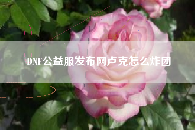 DNF公益服发布网卢克怎么炸团