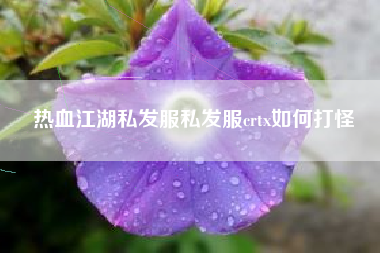 热血江湖私发服私发服crtx如何打怪
